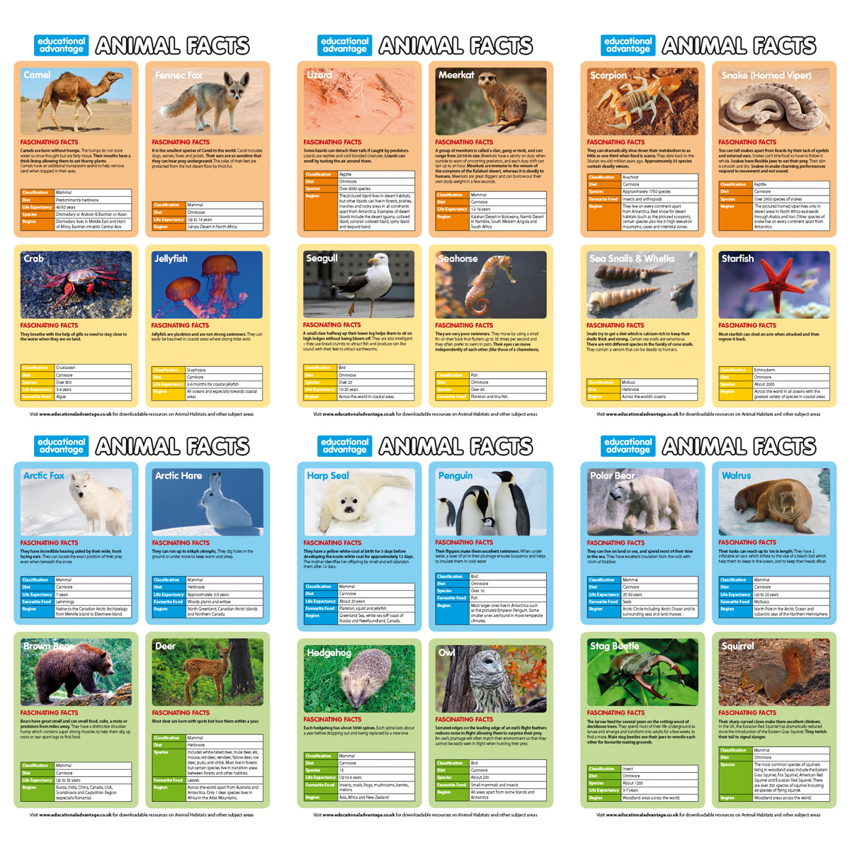 Animal Habitats Game - Carson Dellosa, Incastro, Popular Playthings,  Roylco, Wisdom Distributors